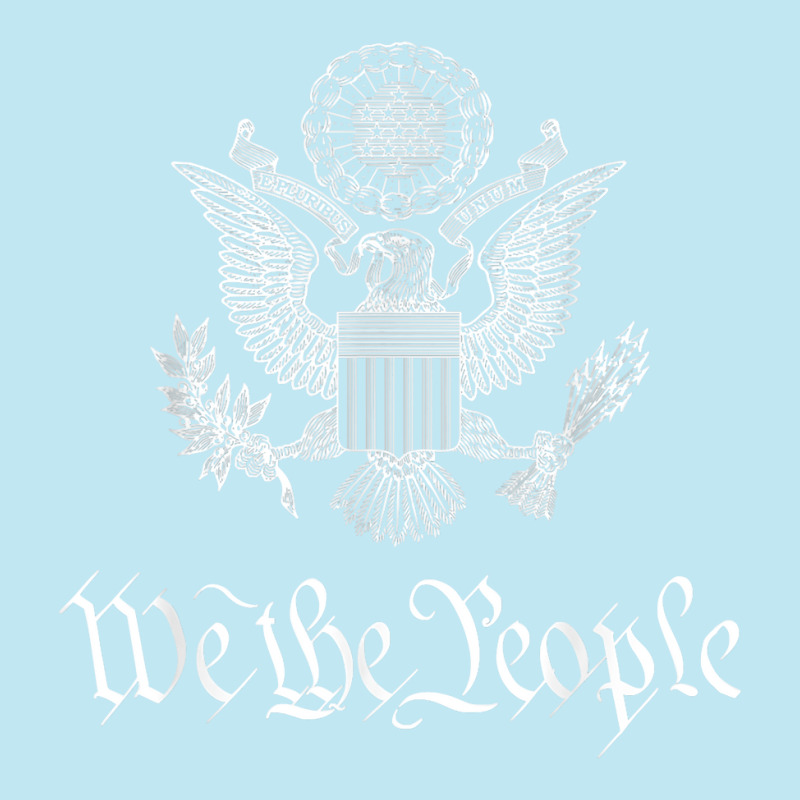 We The People American Bald Eagle Seal Flag Us Constitution T Shirt Urban Pullover Hoodie | Artistshot