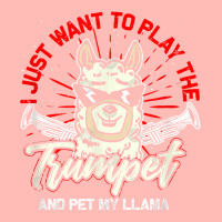 Trumpeter Llama Musical Instrument Trumpet T Shirt Urban Pullover Hoodie | Artistshot