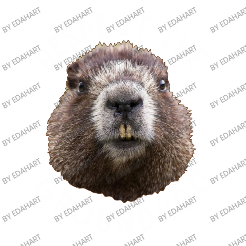 Respect The Groundhog Day Photo Wood Rodent Funny Face Pickleball ...