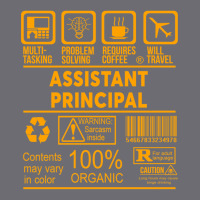 Assistant Principal - Nice Design 2017 Mesh Cap | Artistshot