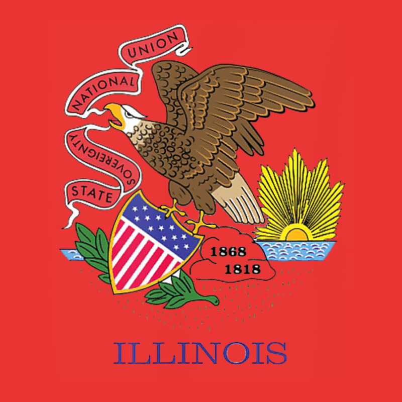 Illinois State Flag Us State Flag, Illini Mesh cap by laughingtuy | Artistshot