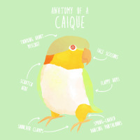 Caique T  Shirt Anatomy Of A Black  Headed Caique T  Shirt Urban Pullover Hoodie | Artistshot