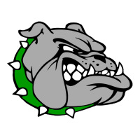 Ashville High School, Ashville Bulldogs Pickleball Paddle | Artistshot