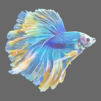 Paradise Betta T  Shirt Paradise Betta Fish T  Shirt Adjustable Baseball Cap | Artistshot