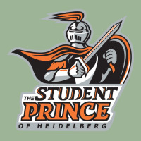 Heidelberg University Student Princes Urban Pullover Hoodie | Artistshot