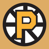 Providence Bruins Yellow Urban Heavy T-shirt | Artistshot