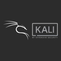 Kali Offensive Security Linux Baseball Cap | Artistshot