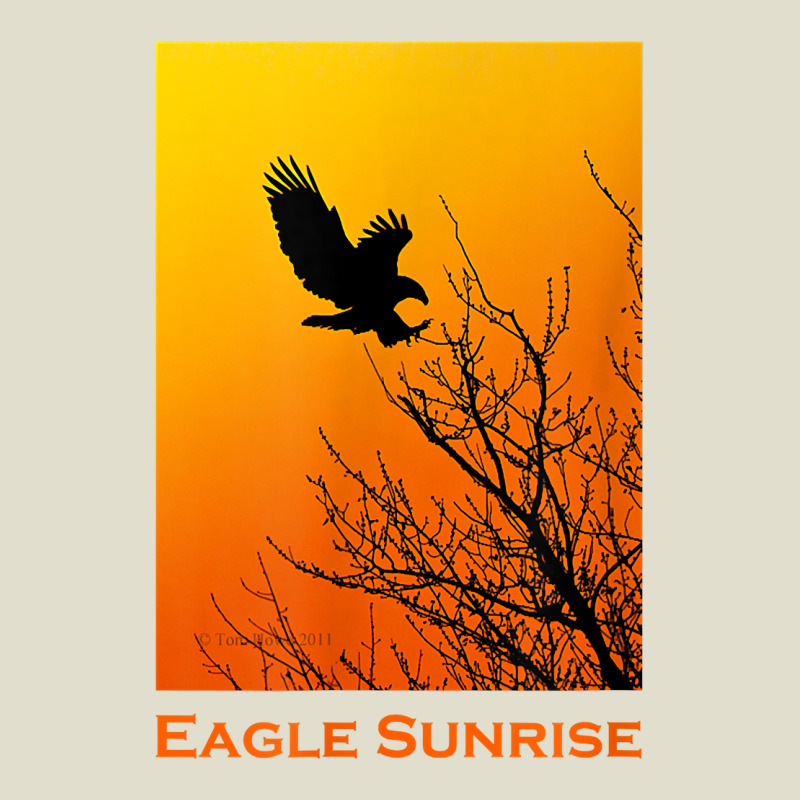 Bald Eagle Sunrise T Shirt Adjustable Baseball Cap | Artistshot