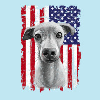 Dogs 365 Distress American Flag Italian greyhound Dog Usa Premium T S Urban Heavy T-shirt | Artistshot