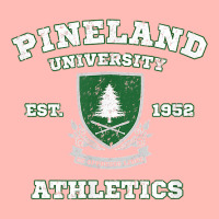 Pineland University Athletics Sports Vintage T Shirt Urban Pullover Hoodie | Artistshot