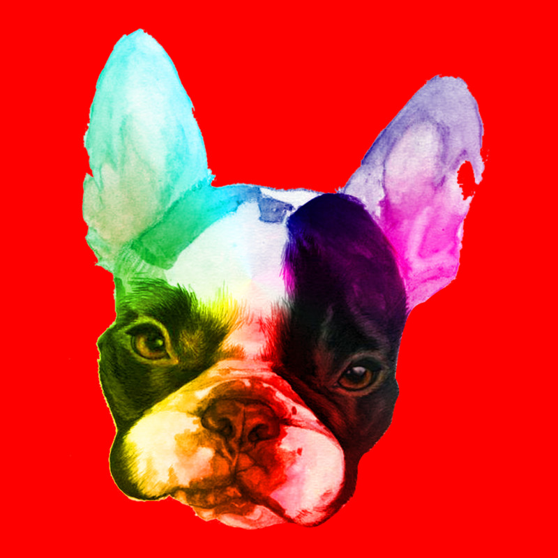 Boston Terrier Lgbt Bomber Jacket by Gurkan | Artistshot