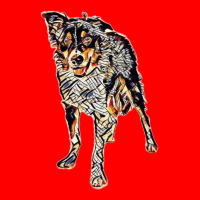 A Border Collie Dog Standing Bomber Jacket | Artistshot