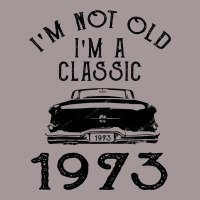 I'm Not Old I'm A Classic 1973 Vintage Hoodie | Artistshot