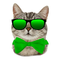 St Patricks Day Irish Cat Debie Paper Bag - 10 X 5 X 13 | Artistshot