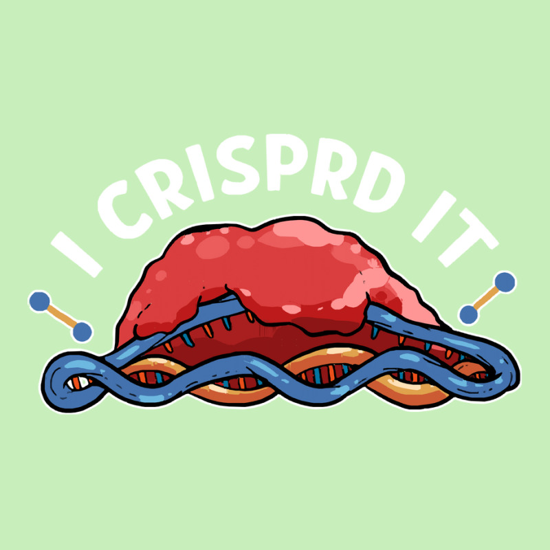 Crispr T Shirti Crisprd It Crispr Graffiti Gene Editing Hacker T Shirt Urban Pullover Hoodie by federico20955 | Artistshot