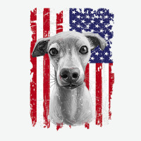 Dogs 365 Distress American Flag Italian greyhound Dog Usa Premium T S Urban Pullover Hoodie | Artistshot