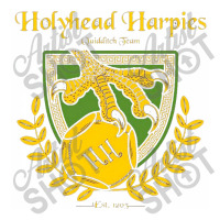 Holyhead Harpies Bomber Jacket | Artistshot