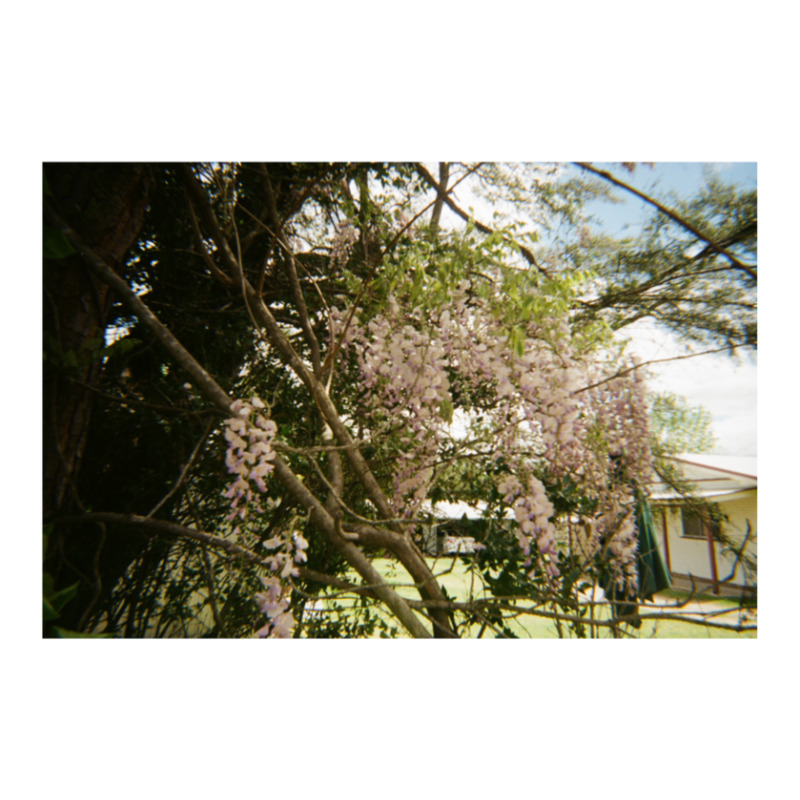 Granite Belt On 35mm Film 3 Jumbo Paper Bag - 18 X 7 X 18 3/4 | Artistshot