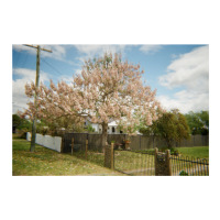 Granite Belt Flowers On 35mm Film Traveler Paper Bag -13 X 6 X 15 3/4 | Artistshot