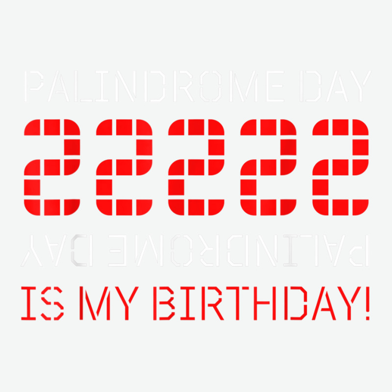 Palindrome Day 22222 Is My Birthday February 22 2022 Twosday T Shirt Urban Heavy T-shirt | Artistshot