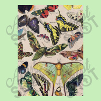 Adolphe Millot - Classic Vintage Butterfly Urban Pullover Hoodie | Artistshot