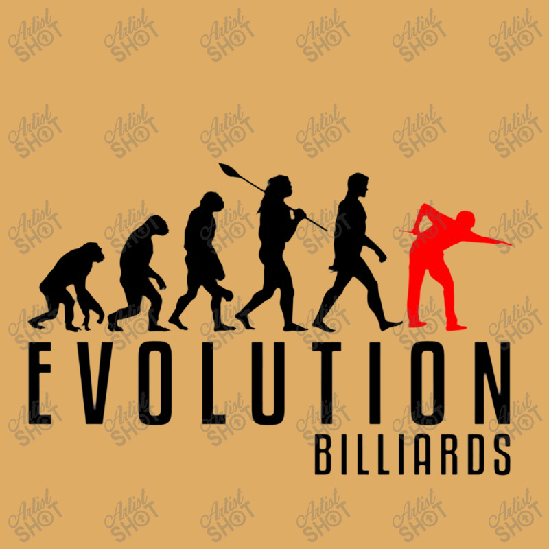 Billiards Evolution Urban Pullover Hoodie | Artistshot