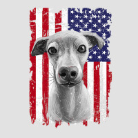 Dogs 365 Distress American Flag Italian greyhound Dog Usa Premium T S Adjustable Baseball Cap | Artistshot