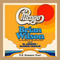 Chicago And Brian Wilson Summer Urban Heavy T-shirt | Artistshot