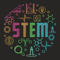 Stem Science Technology Engineering Math Teacher Gift T Shirt Ladies Fitted T-shirt | Artistshot