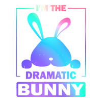 Im The Dramatic Bunny T  Shirt Funny Painted Bunny, I'm The Dramatic B Bomber Jacket | Artistshot