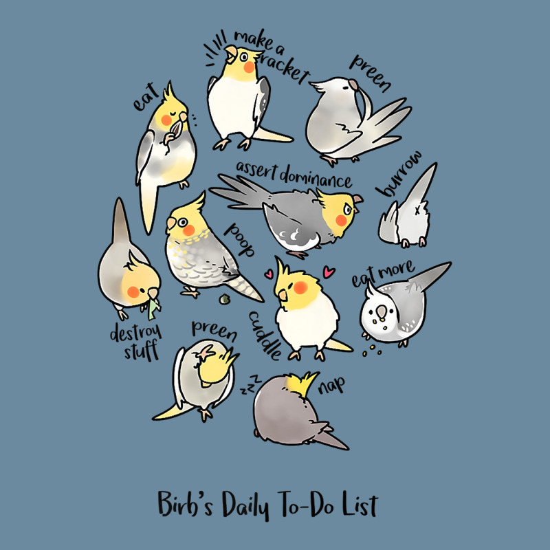 Cockatiel's Daily To Do List T Shirt Urban Pullover Hoodie | Artistshot