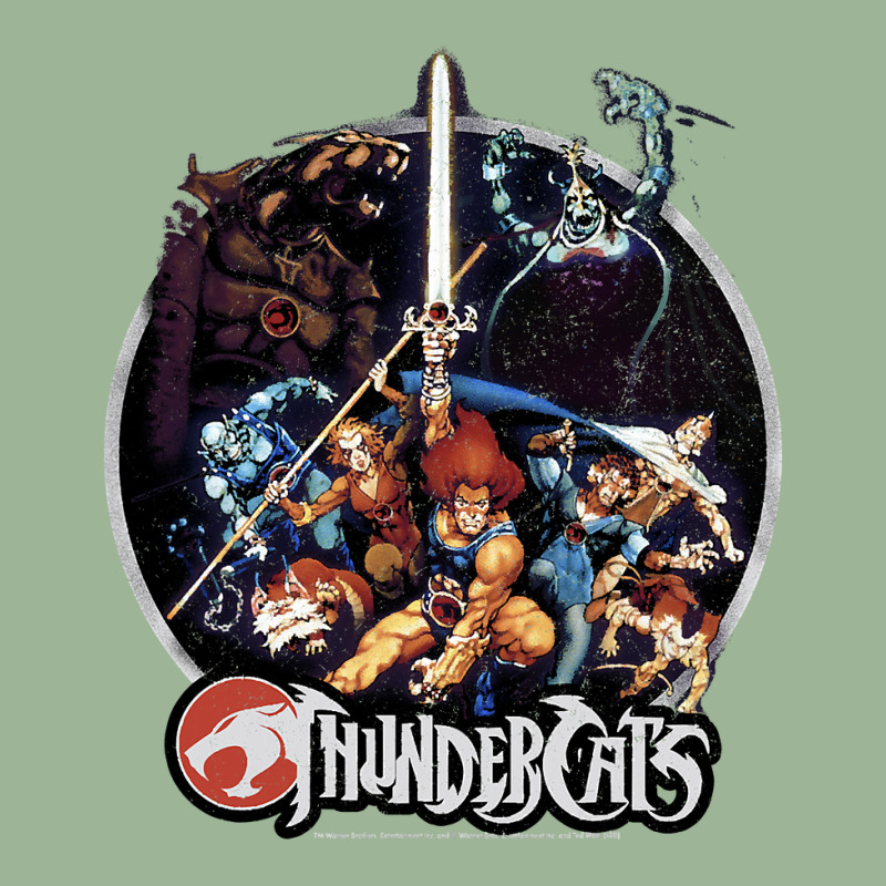 Thundercats Group Shot Vintage Circle T Shirt Urban Pullover Hoodie by Binhthai9809 | Artistshot