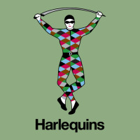 The Harlequin Fc Iphone 13 Pro Case | Artistshot