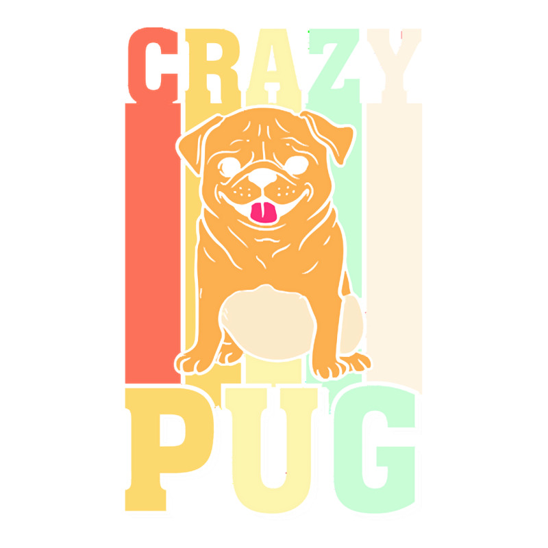 Crazy Pug Lady T  Shirtcrazy Pug Lady Funny Gift Idea For Pug Lovers D Bomber Jacket | Artistshot