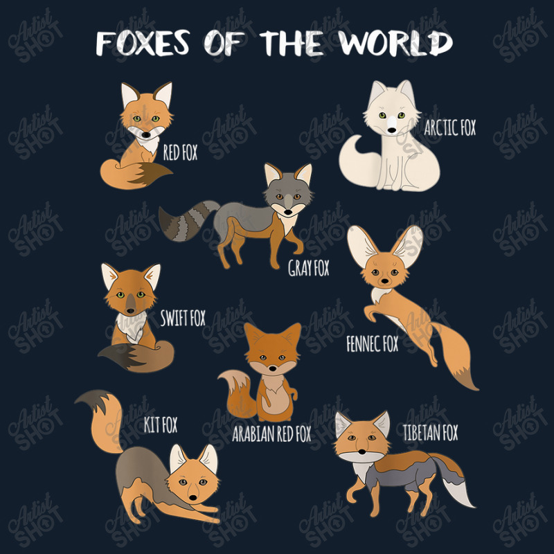 Foxes Of The World Funny Fox Animals Educational Beanie by Rainbow90 | Artistshot