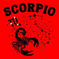 Scorpio Zodiac Sign Birthday October To November Astrology T Shirt Bomber Jacket | Artistshot