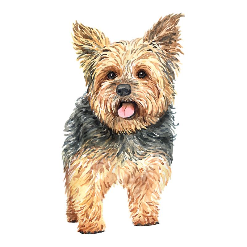 Watercolor  Yorkie Yorkshire Terrier Owners T Shirt Bomber Jacket by lorebrend | Artistshot