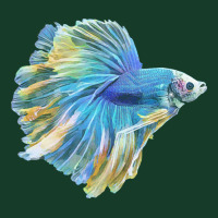 Paradise Betta T  Shirt Paradise Betta Fish T  Shirt Visor Hat | Artistshot