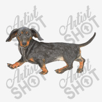 Black And Tan Dachshund Ladies Polo Shirt | Artistshot