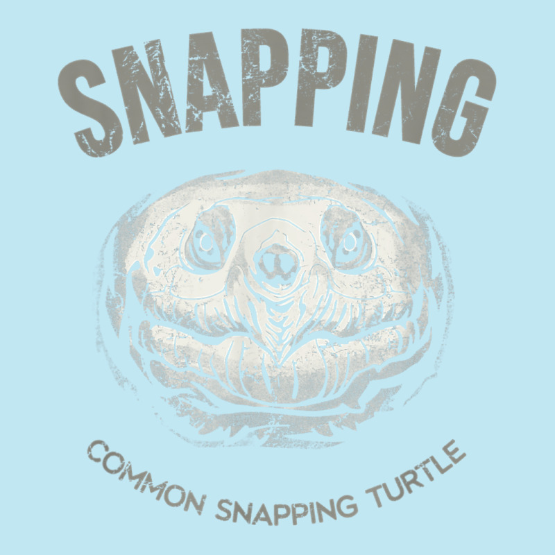 Common Snapping Turtle, Vintage Design For Reptile Lovers T Shirt Urban Pullover Hoodie | Artistshot