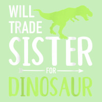 Will Trade Sister For Dinosaur Brother T Shirt Urban Heavy T-shirt | Artistshot