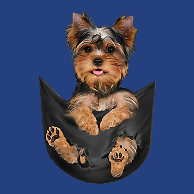 Dog Lovers Gifts Yorkshire Terrier In Pocket Funny Dog Face Premium T Visor hat by jermonmccline | Artistshot