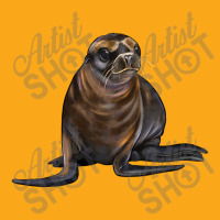 Sea Lion Illustrations Beanie | Artistshot