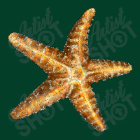 Starfish Beanie | Artistshot