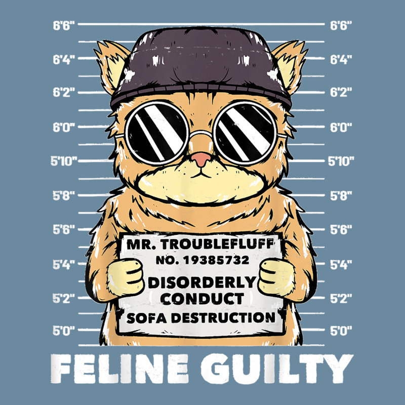 Funny Cat  Feline Guilty  Guilty Cat Trouble Fluff Mugshot Urban Heavy T-shirt | Artistshot