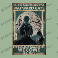 Cats Salem Sanctuary For Way Ward Urban Pullover Hoodie | Artistshot