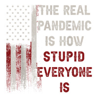 The Real Pandemic Is How Stupid Everyone Is 1776 Vintage T Shirt Bomber Jacket | Artistshot