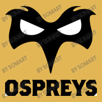 Ospreys Vintage Hoodie And Short Set | Artistshot