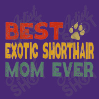 Exotic Shorthair Cat Mom Owner Breeder Lover Kitten Beanie | Artistshot