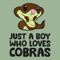 King Cobra Snake Just A Boy Who Loves Cobras T Shirt Urban Pullover Hoodie | Artistshot